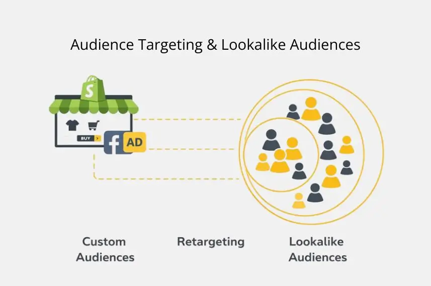 Audience Targeting & Lookalike Audiences